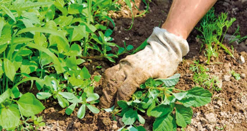 Productos de uso agrícola - Productos AJF