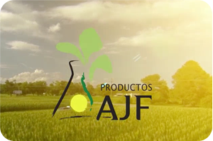 Sobre nós - Productos AJF