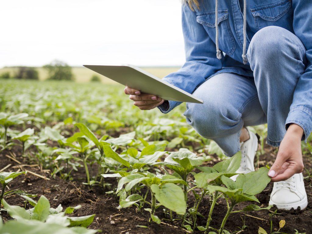 Azufre para la agricultura ecológica